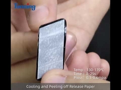 DS001TS Hot melt adhesive film