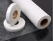 Polyamide Hot Melt Adhesive Web Film 480mm Width 0.1mm Thickness For Lining Clothes