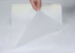 Copolyester Hot Melt Adhesive Film Milky White Translucent Color For Shoes Tongue